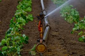 Crop Water Requirement in Agricultural Production Crop Water Requirement in Agricultural Production