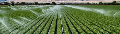 Irrigation Requirement of Crops for Sustainable Agricultural Production Irrigation Requirement of Crops for Sustainable Agricultural Production