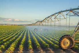 Irrigation Requirement of Crops for Sustainable Agricultural Production Irrigation Requirement of Crops for Sustainable Agricultural Production