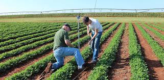 Irrigation Scheduling in Agriculture