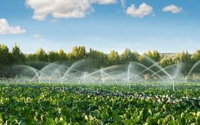 Consumptive Use and Evapotranspiration in Crop Production Consumptive Use and Evapotranspiration in Crop Production