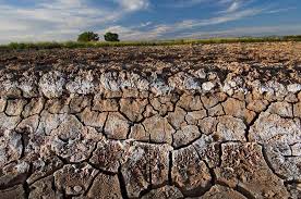 Importance of Soil Conditions in Crop Production Importance of Soil Conditions in Crop Production