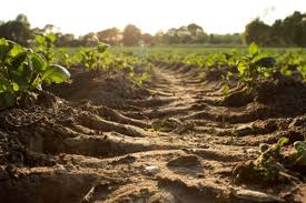 Soil Erosion and Its Agricultural Implications
