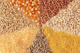 Local Plant and Animal Species in Nigeria's Agricultural Ecosystem Local Plant and Animal Species in Nigeria's Agricultural Ecosystem
