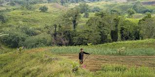 Habitat Fragmentation and Genetic Erosion in Agricultural Biodiversity Habitat Fragmentation and Genetic Erosion in Agricultural Biodiversity