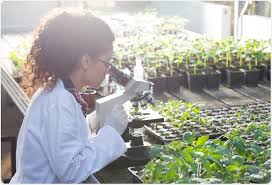 Plant Biotechnology and Its Role in Agricultural Advancement Plant Biotechnology and Its Role in Agricultural Advancement