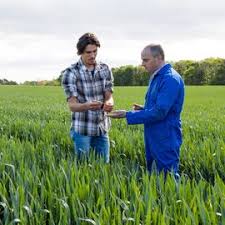 Plant Biotechnology and Its Role in Agricultural Advancement Plant Biotechnology and Its Role in Agricultural Advancement