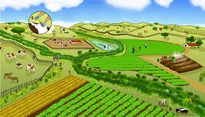 Scope and Historical Sketches of Landscaping in Agriculture Scope and Historical Sketches of Landscaping in Agriculture