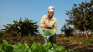 Biodiversity on the Farm in Sustainable Agriculture Biodiversity on the Farm in Sustainable Agriculture