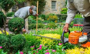 Landscape Maintenance Practices for Agricultural and Horticultural Settings