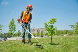 Landscape Maintenance Practices for Agricultural and Horticultural Settings Landscape Maintenance Practices for Agricultural and Horticultural Settings