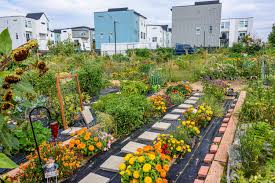 Urban Farming and Its Role in Agricultural Development in Cities
