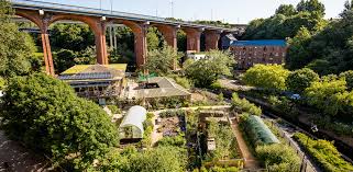 Urban Farming and Its Role in Agricultural Development in Cities Urban Farming and Its Role in Agricultural Development in Cities