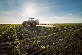 Sources of Organic Fertilizer Nutrients for Agricultural Soil Improvement Sources of Organic Fertilizer Nutrients for Agricultural Soil Improvement