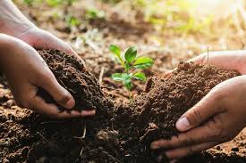 Meaning and Importance of Soil Management in Agriculture