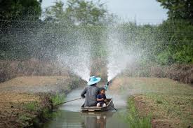 Water Management in Vegetable Crop Production