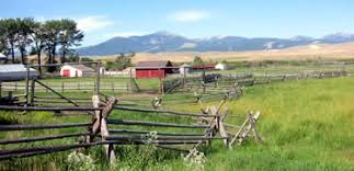 Wild Life Ranch: Definition, Uses and Importance