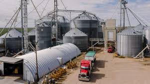 Principles and Methods of Crop Storage in Agriculture