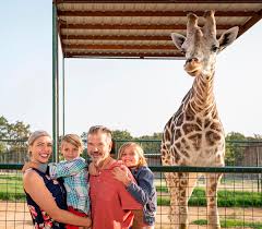 Aggieland Wild Animal Safari: History, Experiences and More