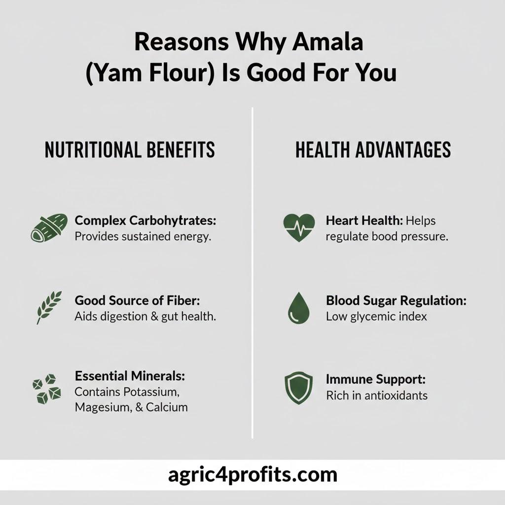 Raisons pour lesquelles Amala (Farine d'Igname) est bon pour vous