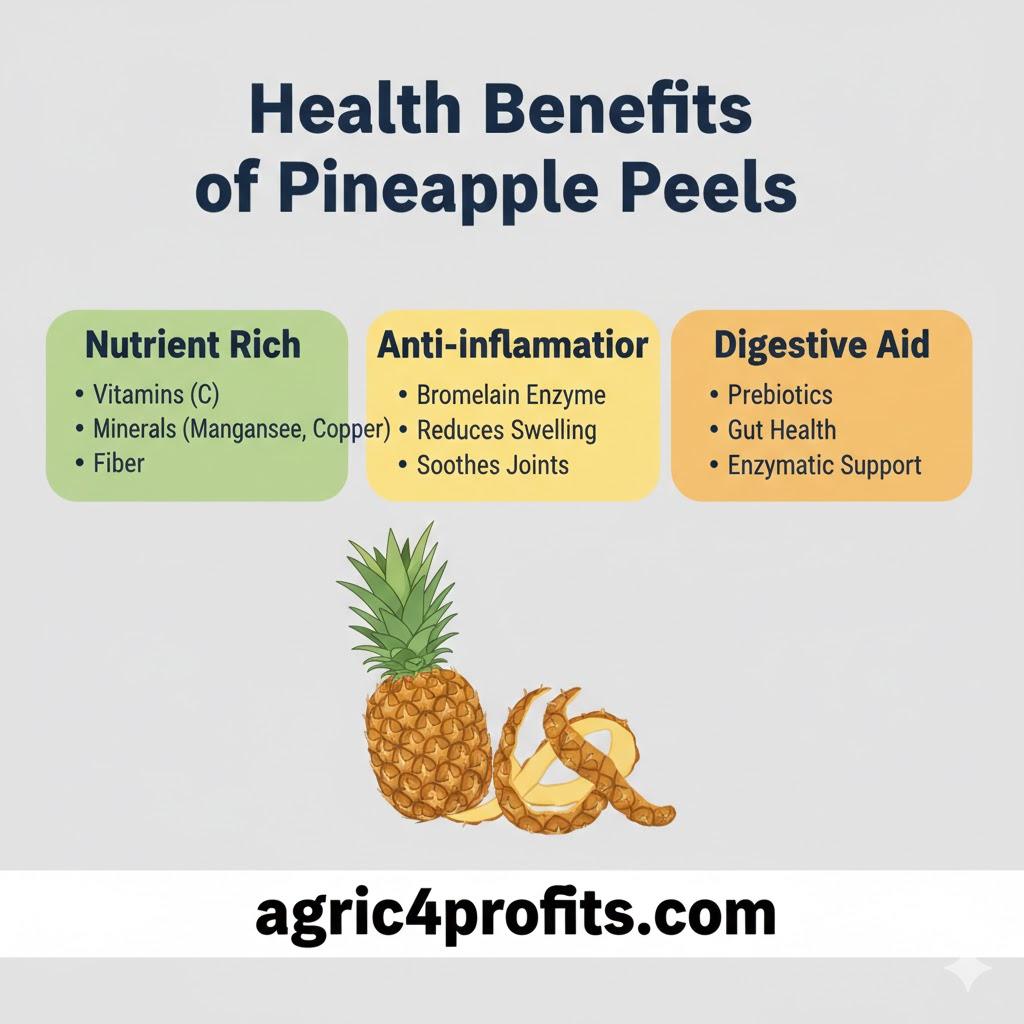 Health Benefits of Pineapple Peels
