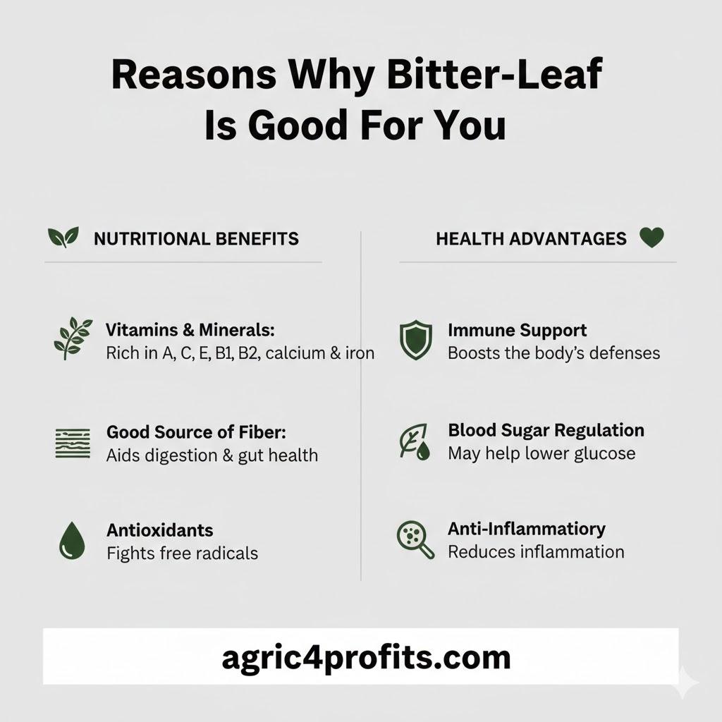 Raisons pour lesquelles amer-feuille est bon pour vous