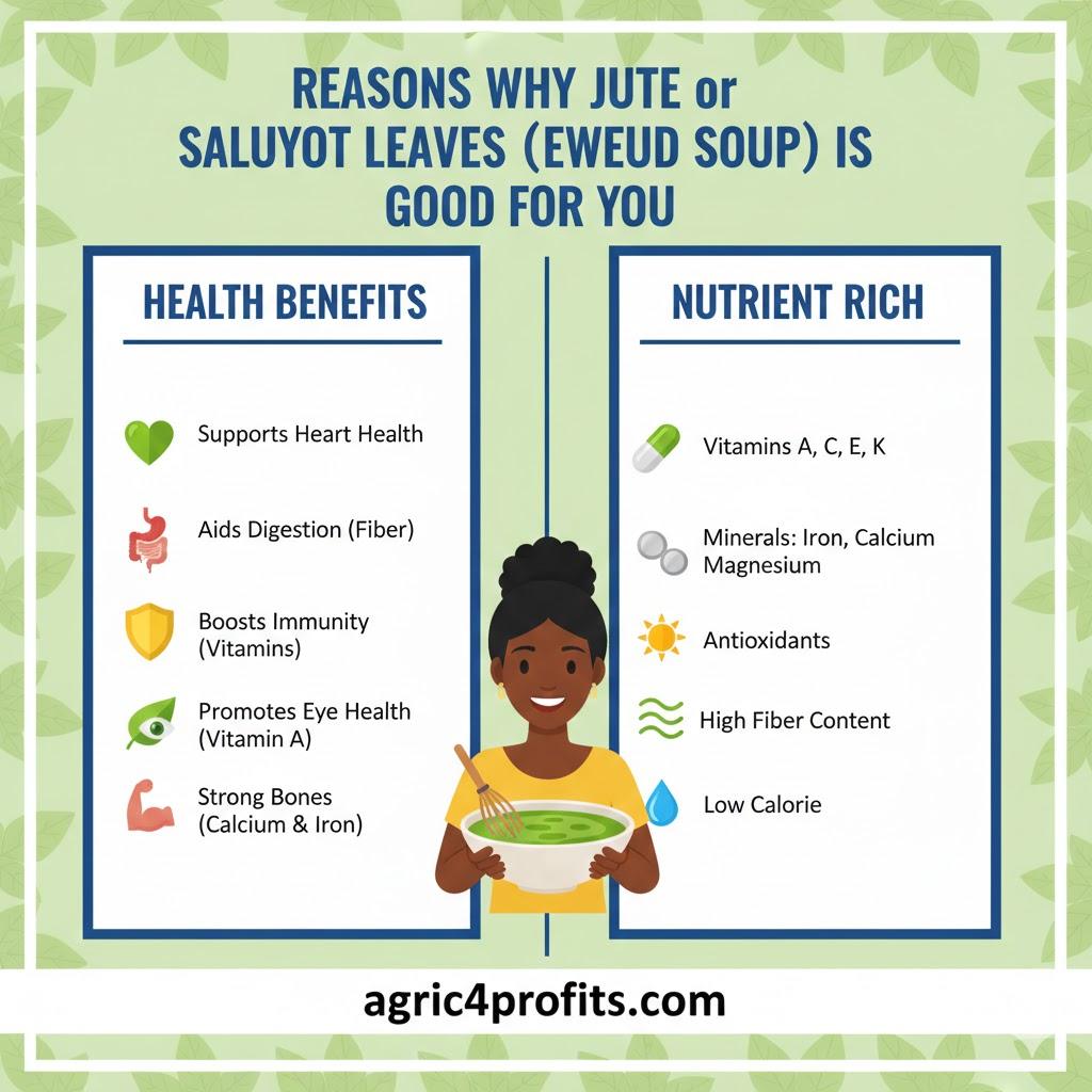 Reasons why Jute or Saluyot leaves (Ewedu Soup) is good for you