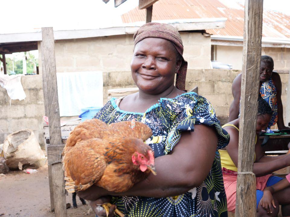 10 Choses À Savoir Sur Les Poulets Noiler