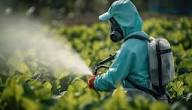 Principles of Pesticide Application for Stored Agricultural Produce Protection