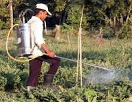 Fundamentals of Pesticide Application for Field Pest Management
