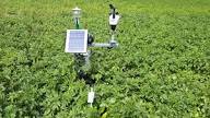 Role of Pesticides in Integrated Pest Management for Crop Protection