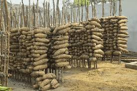 Problems Associated with Indigenous Traditional Storage of Roots and Tubers