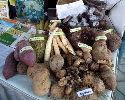 Problems Associated with Indigenous Traditional Storage of Roots and Tubers Problems Associated with Indigenous Traditional Storage of Roots and Tubers