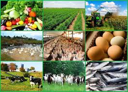 41 Top Agricultural Business Ideas with Small StartUp