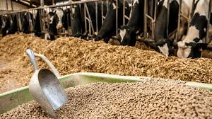 Forage Conservation for Animal Feeds and Feeding Forage Conservation for Animal Feeds and Feeding