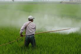 Impact of Pesticides on Human Health in Agriculture