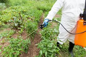 Impact of Pesticides on Human Health in Agriculture Impact of Pesticides on Human Health in Agriculture