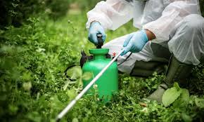 Understanding Pesticide Residues in Agricultural Produce