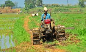 Role of Agricultural Mechanization in African Farming Role of Agricultural Mechanization in African Farming
