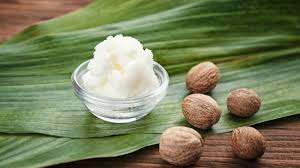 Guide on Shea Butter Processing, Health Benefits and Uses