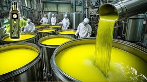 Guide on Olive Oil Processing, Health Benefits and Uses