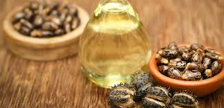 Castor Oil Processing