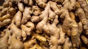 Botanical Characteristics of the Zingiberaceae Family in Agriculture Botanical Characteristics of the Zingiberaceae Family in Agriculture