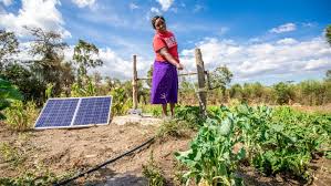 Importance of Farm Power Sources in Agricultural Productivity Importance of Farm Power Sources in Agricultural Productivity