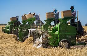 Importance of Farm Power Sources in Agricultural Productivity Importance of Farm Power Sources in Agricultural Productivity