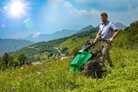 Mowers and Rakes for Forage Management in Agriculture Mowers and Rakes for Forage Management in Agriculture