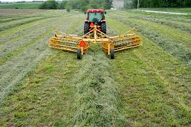 Mowers and Rakes for Forage Management in Agriculture Mowers and Rakes for Forage Management in Agriculture