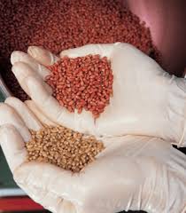 Seed Dressing Techniques for Enhanced Agricultural Productivity Seed Dressing Techniques for Enhanced Agricultural Productivity