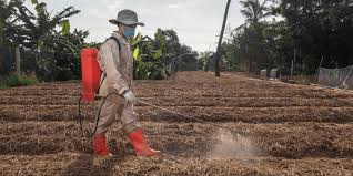 Pesticide Dosage Calculation and Application in Agriculture