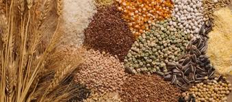 Classification of Crops: Botanical and Economic Classification Classification of Crops: Botanical and Economic Classification